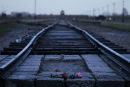 The line that went nowhere. Auschwitz II, Birkenhau, Poland.